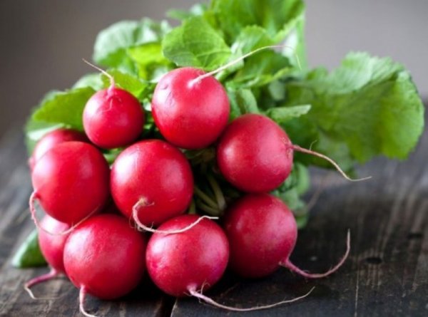 Редис Диего F1 250 гр. (Hazera) Редис Диего F1 250 гр. (Hazera)