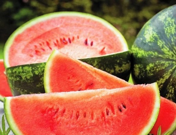 Арбуз Варда F1 1000 семян. (Hazera) Арбуз Варда F1 1000 семян. (Hazera)