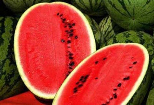 Арбуз Атаман F1 1000 семян. (Hazera) Арбуз Атаман F1 1000 семян. (Hazera)