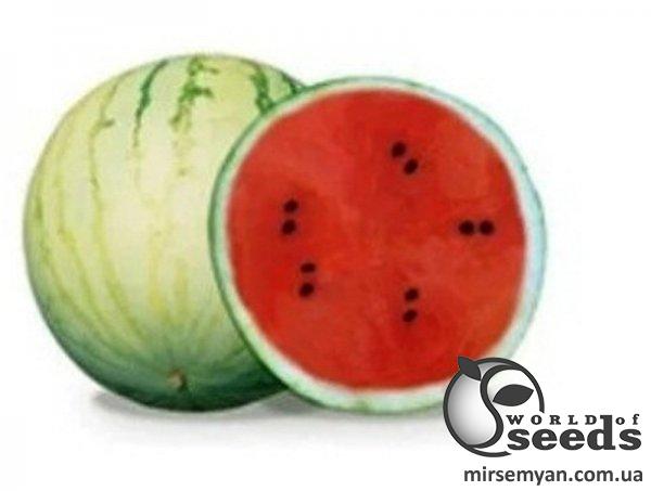 Арбуз Минипул F1 1000 семян. (Hazera) Арбуз Минипул F1 1000 семян. (Hazera)