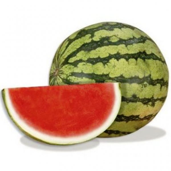 Арбуз Леопард F1 500 семян. (Hazera) Арбуз Леопард F1 500 семян. (Hazera)