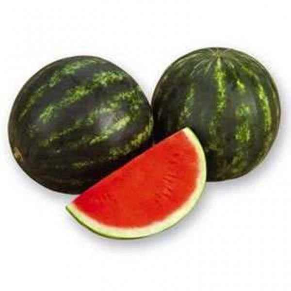 Арбуз Экстази F1 500 семян. (Hazera) Арбуз Экстази F1 500 семян. (Hazera)