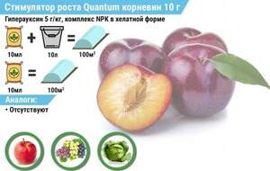 Квантум Корневин 10г Квантум Корневин 10г