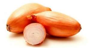 Лук севок озимый Бамбергер / Bamberger 1кг  Netherlands Лук севок озимый Бамбергер / Bamberger 1кг  Netherlands