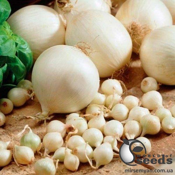 Лук севок Сноубол 10кг (Netherlands) Лук севок Сноубол 10кг (Netherlands)