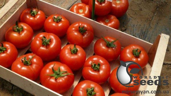 Помидоры Клад F1 250 семян. (Lark Seeds) Помидоры Клад F1 250 семян. (Lark Seeds)