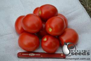 Помидоры 2206 F1 500 семян. (Lark Seeds)