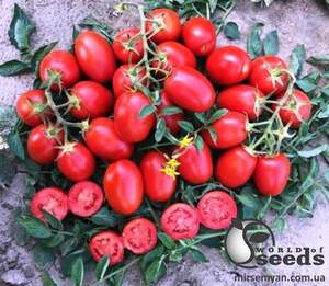 Помидоры 9905 F1 500 семян. (Lark Seeds) Помидоры 9905 F1 500 семян. (Lark Seeds)