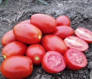 Помидоры 9905 F1 500 семян. (Lark Seeds)