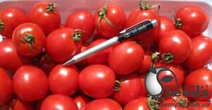 Семена томата Боцман F1 1000 семян. (Lark Seesd)