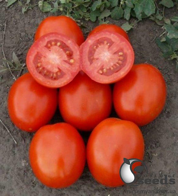 Помидоры 1807 F1 100 000 семян. (Lark Seeds) Помидоры 1807 F1 100 000 семян. (Lark Seeds)