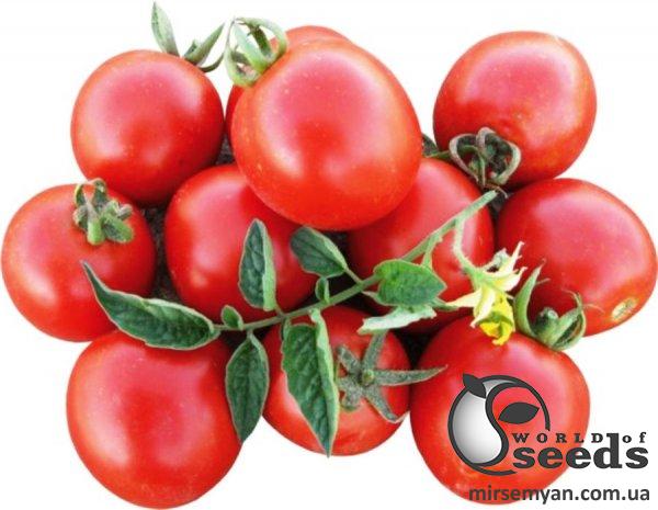 Семена томата Боцман F1 10 000 семян. (Lark Seesd) Семена томата Боцман F1 10 000 семян. (Lark Seesd)