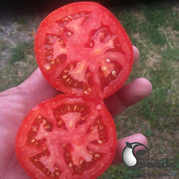 Семена томата 1609 F1 250 семян. (Lark Seesd) Семена томата 1609 F1 250 семян. (Lark Seesd)