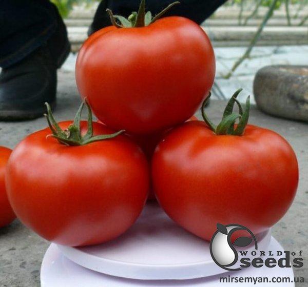 Помидоры Прайд F1 250 семян. (Lark Seeds) Помидоры Прайд F1 250 семян. (Lark Seeds)