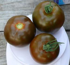 Помидоры Мавр F1 1000 семян. (Lark Seeds)