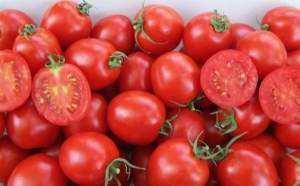 Помидоры Шкипер F1 10 000 семян. (Lark Seeds)