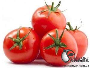 Помидоры 1510 F1 500 семян. (Lark Seeds)