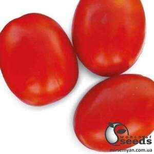 Семена томата 1509 F1 500 семян. (Lark Seesd) Семена томата 1509 F1 500 семян. (Lark Seesd)