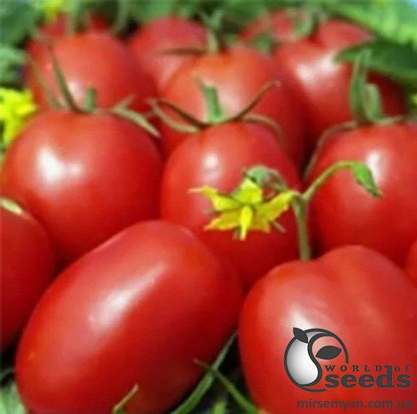 Семена томата 1509 F1 500 семян. (Lark Seesd) Семена томата 1509 F1 500 семян. (Lark Seesd)