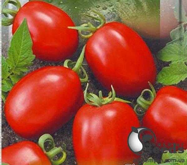 Помидоры Рио Гранде 500 г. (Lark Seeds) Помидоры Рио Гранде 500 г. (Lark Seeds)