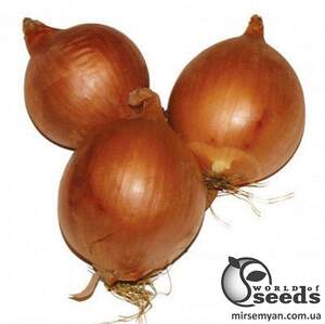 Лук Империос F1 100 000 семян. (Lark Seeds)