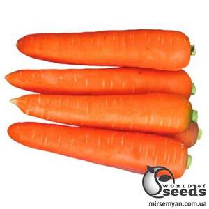 Морковь Курода 0,5 кг. (Lark Seeds) Морковь Курода 0,5 кг. (Lark Seeds)