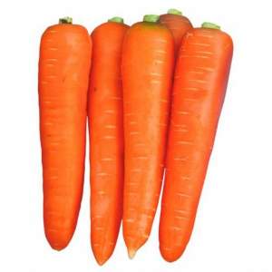 Морковь Курода 0,5кг Ларк Сидз