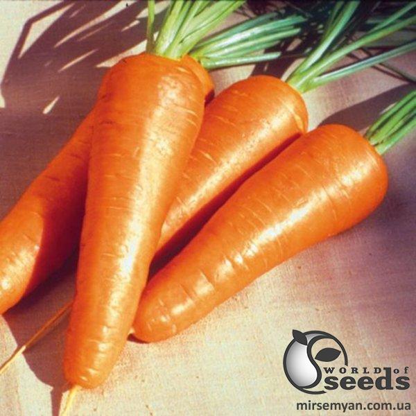 Морковь Ред Коред 0,5 кг. (Lark Seeds) Морковь Ред Коред 0,5 кг. (Lark Seeds)