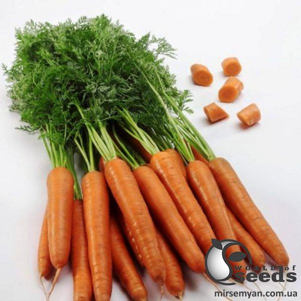 Морковь Титан F1 (1,8-2мм) 250 000 семян. (Lark Seeds) Морковь Титан F1 (1,8-2мм) 250 000 семян. (Lark Seeds)