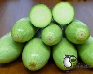 Кабачок Немо F1 2500 семян. (Lark Seeds)