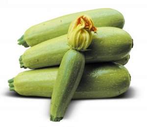 Семена кабачка "Муфаса" F1 0,5 кг. Lark Seesd USA