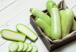 Кабачок Теренум F1 2500 семян. (Lark Seeds)