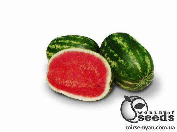 Арбуз Юта F1 1000 семян. (Lark Seeds) Арбуз Юта F1 1000 семян. (Lark Seeds)