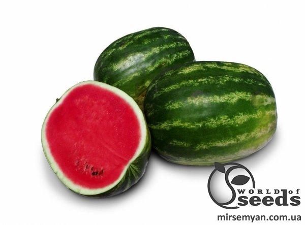 Арбуз Делисия F1 1 000 семян. (Lark Seesd) Арбуз Делисия F1 1 000 семян. (Lark Seesd)