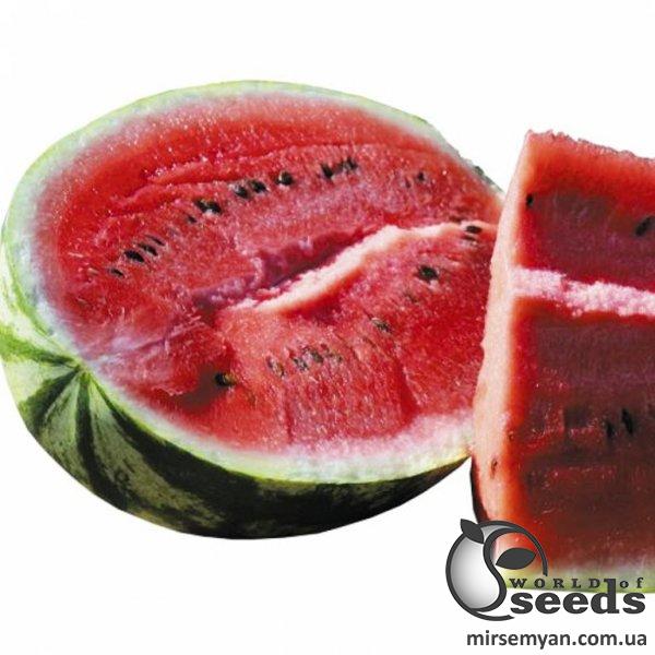 Арбуз Ледус F1 1000 семян. (Lark Seeds) Арбуз Ледус F1 1000 семян. (Lark Seeds)