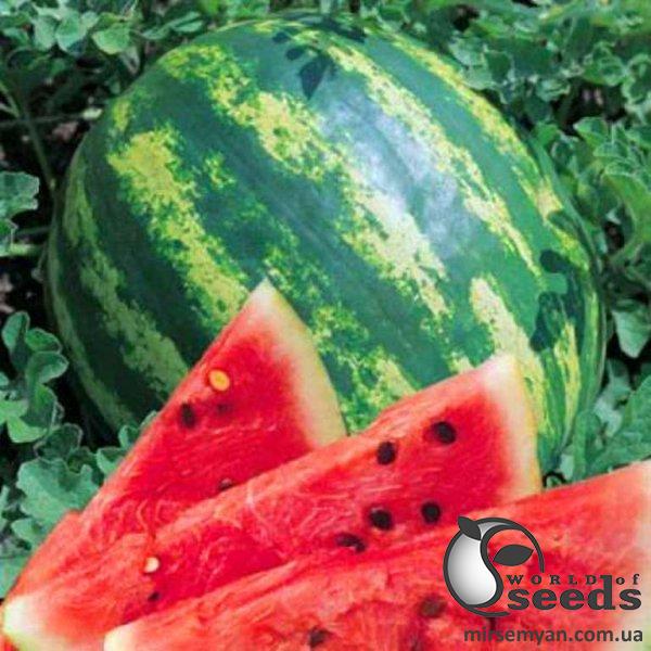 Арбуз Кримсон Свит F1 0,5 кг. (Lark Seeds) Арбуз Кримсон Свит F1 0,5 кг. (Lark Seeds)