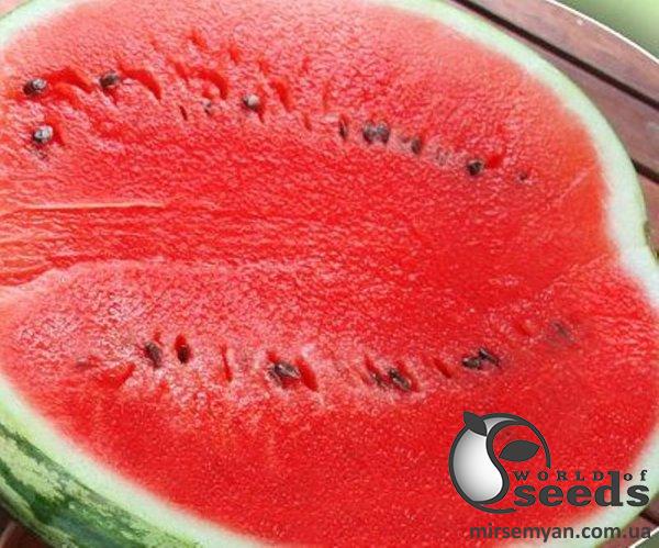 Арбуз АУ Продюсер 0,5 кг. (Lark Seeds) Арбуз АУ Продюсер 0,5 кг. (Lark Seeds)