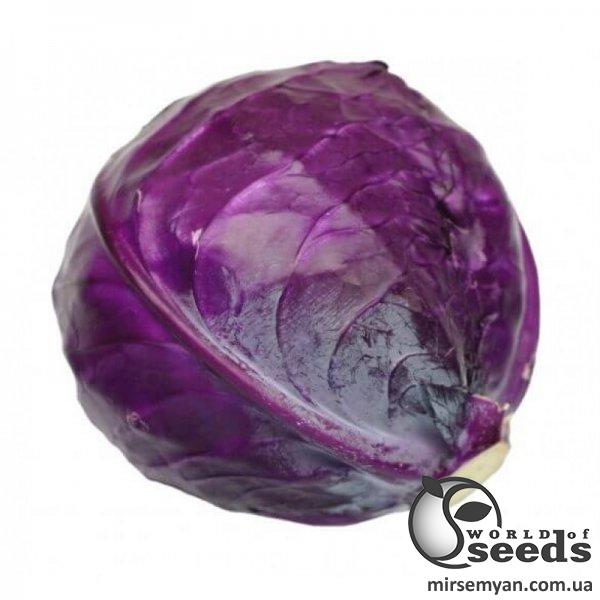 Капуста Ред Класс F1 2500 семян. (Lark Seeds) Капуста Ред Класс F1 2500 семян. (Lark Seeds)