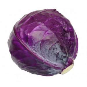 Капуста Ред Класс F1 2500 семян. (Lark Seeds)