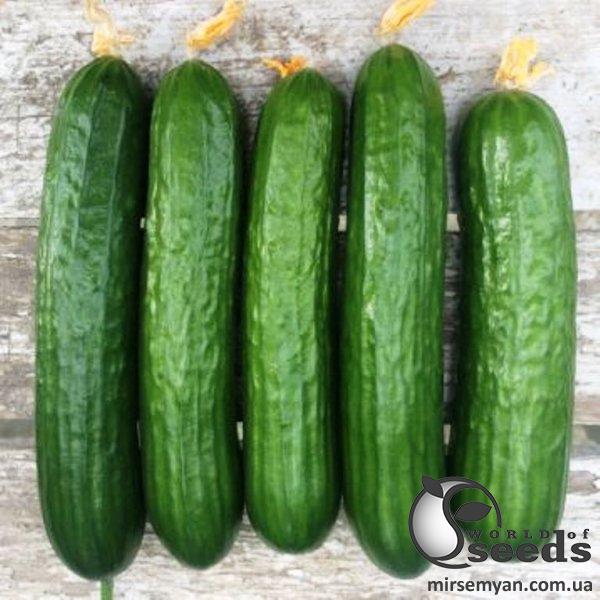 Огурец Базис F1 100 семян. (Lark Seeds) Огурец Базис F1 100 семян. (Lark Seeds)