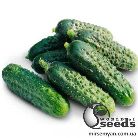 Огурец Оптимус F1 250 семян. (Lark Seeds) Огурец Оптимус F1 250 семян. (Lark Seeds)