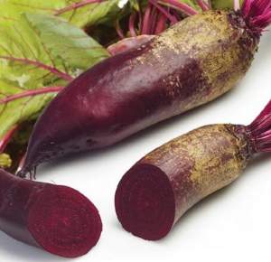 Свекла Ломако (2,75-3,5) 100 000 семян. (Rijk Zwaan) Свекла Ломако (2,75-3,5) 100 000 семян. (Rijk Zwaan)