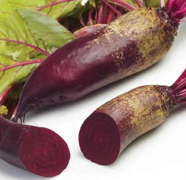 Свекла Ломако (3,5-4,25) 100 000 семян. (Rijk Zwaan) Свекла Ломако (3,5-4,25) 100 000 семян. (Rijk Zwaan)