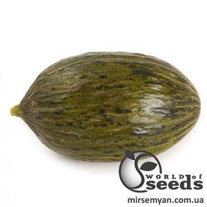 Дыня Долсура F1 1000 семян. (Rijk Zwaan)