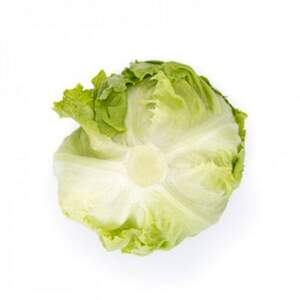 Салат Даянос 1000 семян. (Rijk Zwaan)