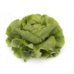 Салат Томбело 1000 семян. (Rijk Zwaan) Салат Томбело 1000 семян. (Rijk Zwaan)