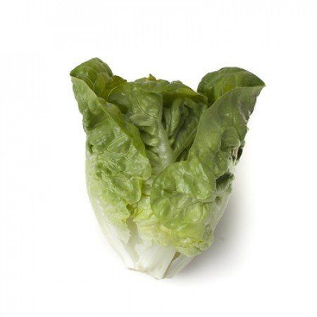 Салат Тудела 1000 семян. (Rijk Zwaan) Салат Тудела 1000 семян. (Rijk Zwaan)