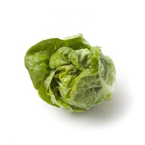 Салат Тудела 5000 семян. (Rijk Zwaan) Салат Тудела 5000 семян. (Rijk Zwaan)