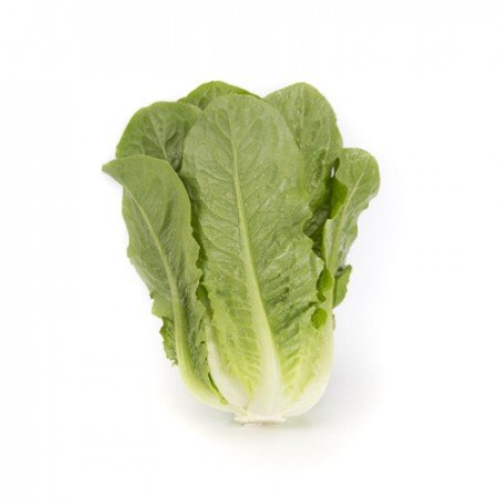 Салат Тукадонна 5000 семян. (Rijk Zwaan) Салат Тукадонна 5000 семян. (Rijk Zwaan)