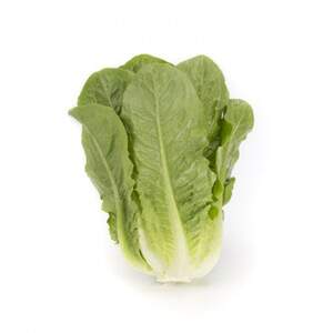 Салат Тукадонна 1000 семян. (Rijk Zwaan)